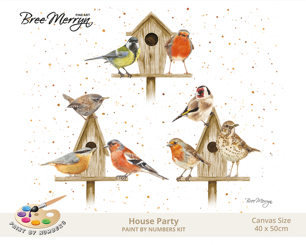 Bree Merryn Paint By Numbers 40cm x 50cm - House Party